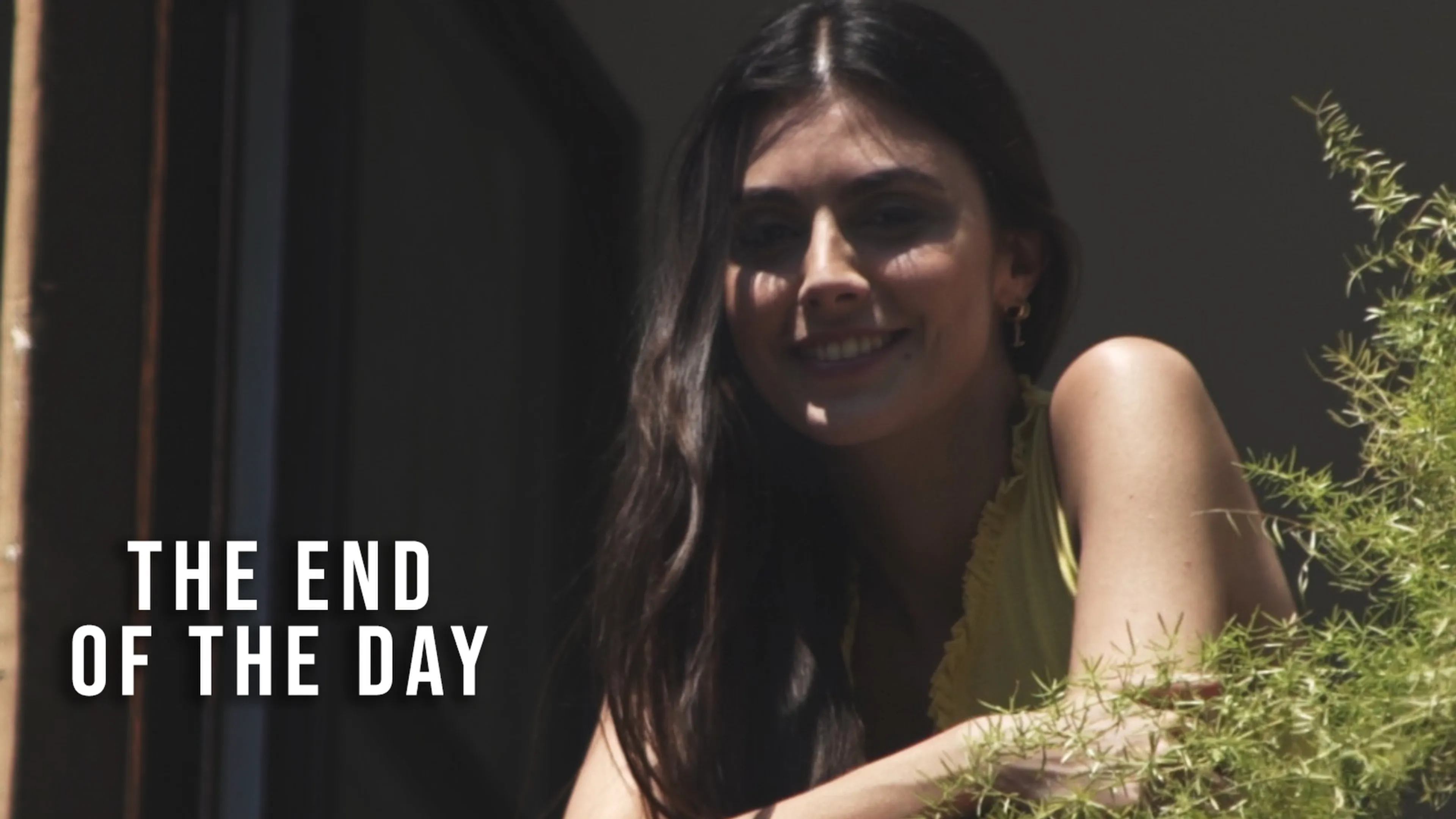 The End of the Day poster